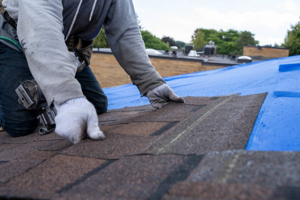 Best Metal Roofing Contractor  in Hickory Hls, IL