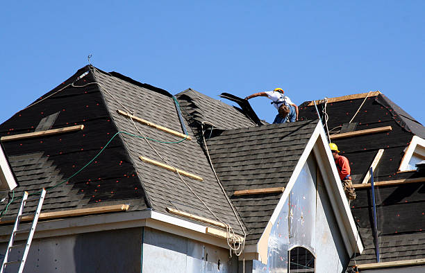 Best Roof Gutter Cleaning  in Hickory Hls, IL