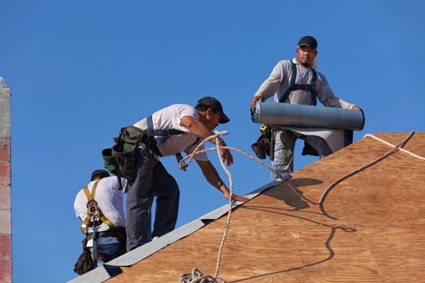 Best Commercial Roof Installation  in Hickory Hls, IL