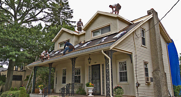 Best Local Roofing Companies  in Hickory Hls, IL